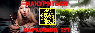 МДПВ Новодвинск