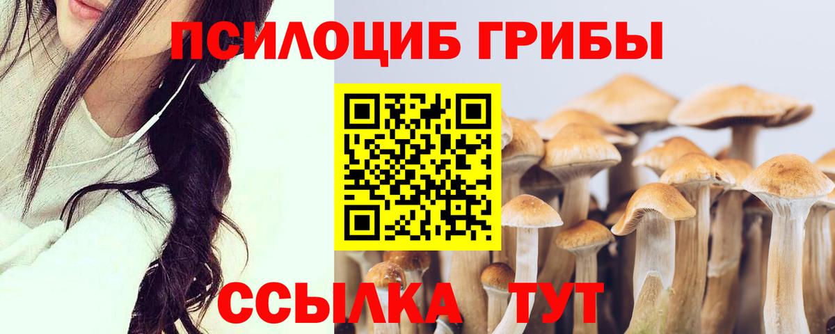 Галлюциногенные грибы Magic Shrooms  Псилоцибиновые грибы Psilocybine cubensis  Вход с VPN  Саянск 